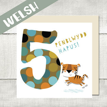 WELSH Age Cards - Kids