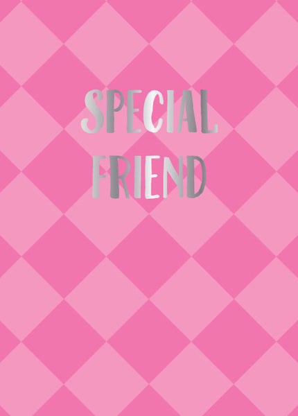 CH16 Special Friend