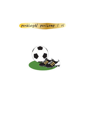 WSS23 penblwydd penigamp i ti Football