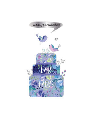 WSS27 llongyfarchiadau Mr a Mrs Cake