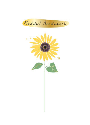 WSS55 Meddwl Amdanoch Thinking of You