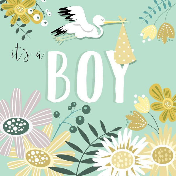 BG76 Baby Boy Stork