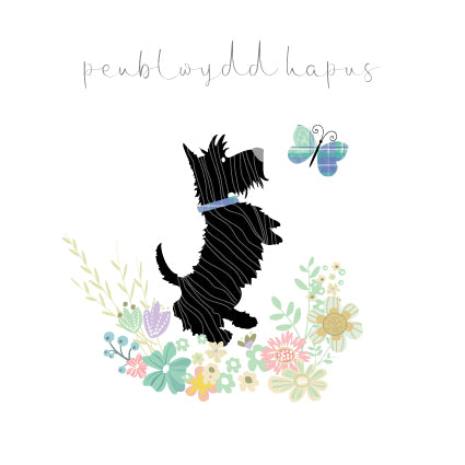 CC03 WELSH Penblwydd