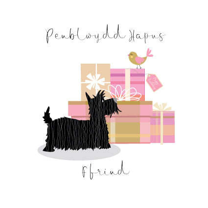CC09 WELSH Penblwydd Hapus Ffrind