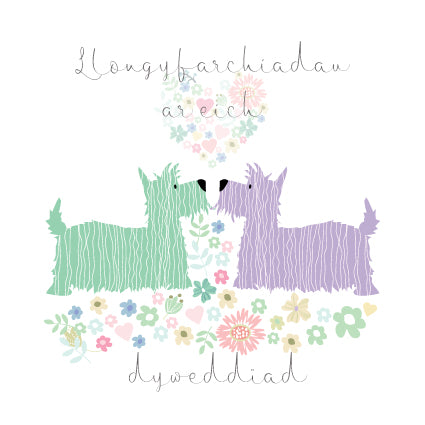 CC22 WELSH Llongyfarchiadau Ar Eich DyweddÃ¯ad
