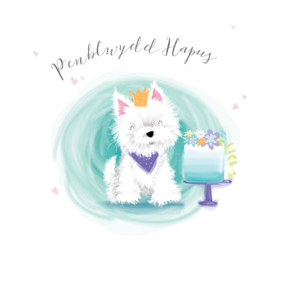 CC49 WELSH Penblwydd Hapus