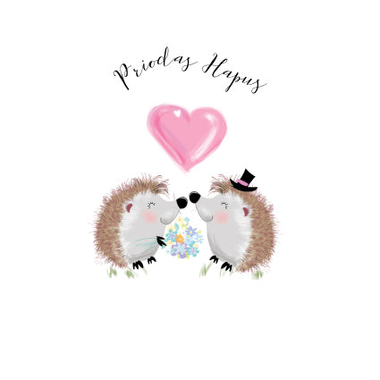 CC53 WELSH Priodas Hapus