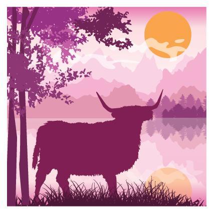 PT01 Highland Cow Pink
