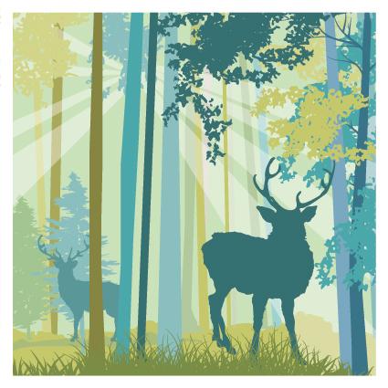 DUS06 Woodland Stags