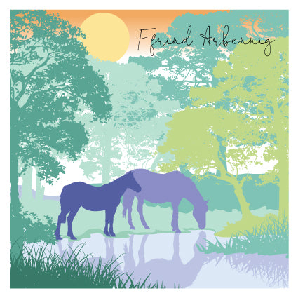 DUS25 WELSH Ffrind Arbennig