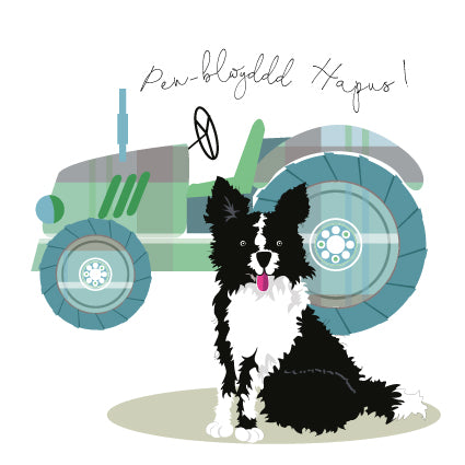 H108-H WELSH Pen-blwydd Hapus - Birthday Collie