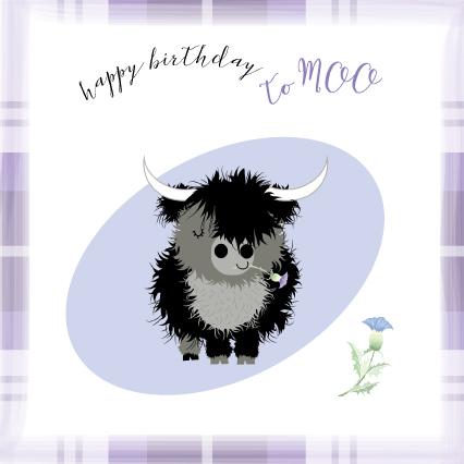 H173 Black Coo