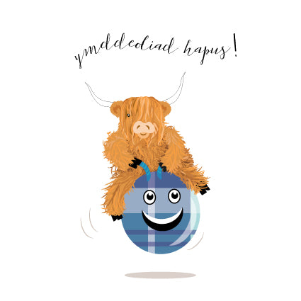 TC12 WELSH Ymddeoliad Hapus