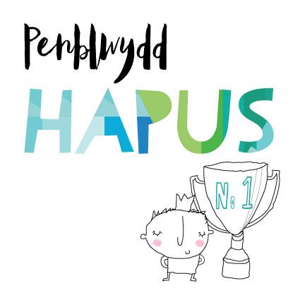 BLO13 WELSH Penblwydd Hapus